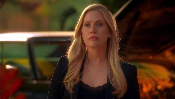 CSI: Miami - Dissolved