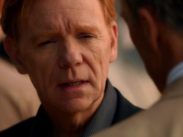 CSI: Miami - Law & Disorder