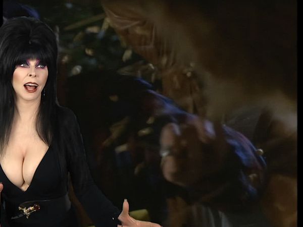 13 Nights of Elvira - Seed People