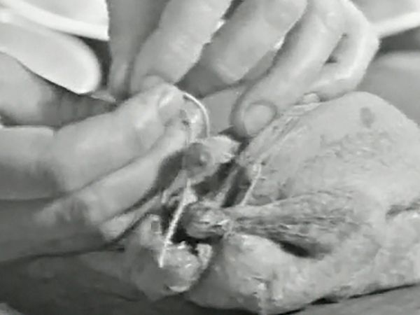 The French Chef - Small Roast Birds