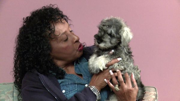 Escogiendo un cachorro - Mamá