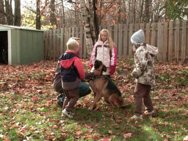 Escogiendo un cachorro - En casa para siempre