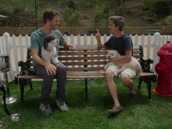Tosh.0 - September 16, 2014 - Dog Trainer