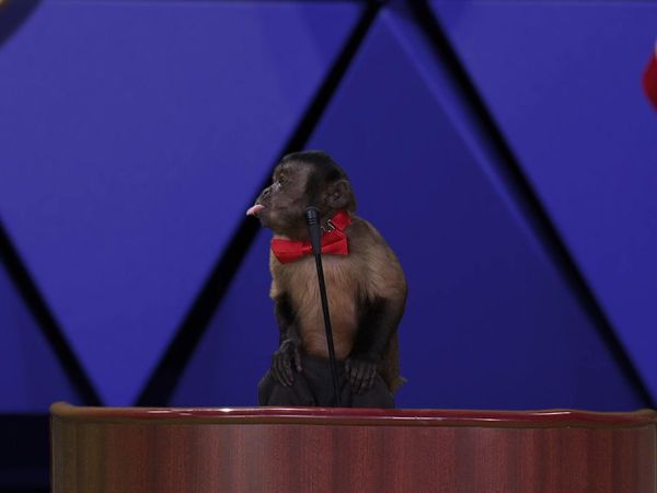 Tosh.0 - December 2, 2014 - Best of Season 6