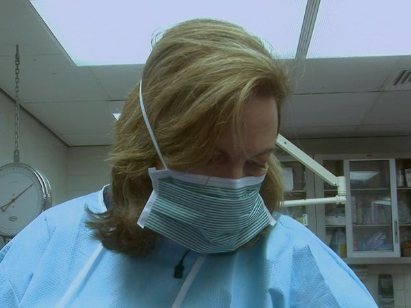 Dr. G: Medical Examiner - Hidden Killers