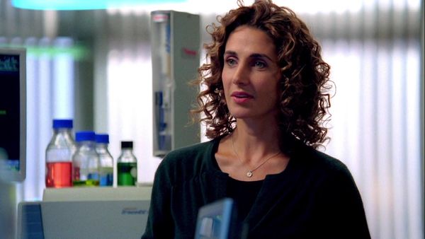 CSI: New York en español - El triángulo (S5 Ep10)