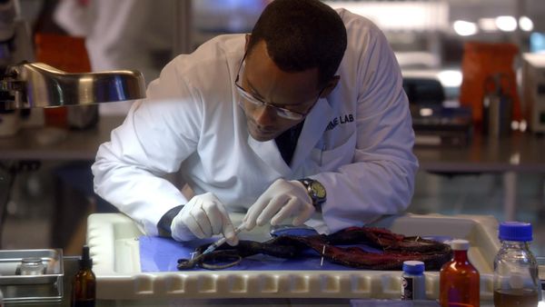 CSI: New York en español - No salten pasos (S7 Ep6)