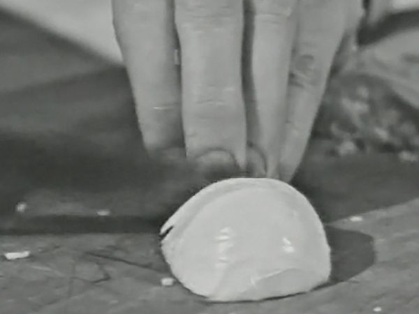 The French Chef - Fish Filets Sylvestre