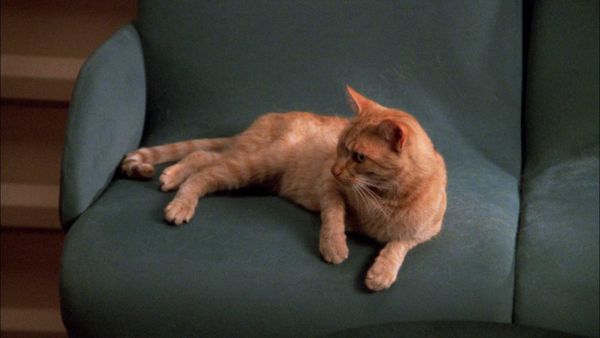 Star Trek: The Next Generation - Phantasms