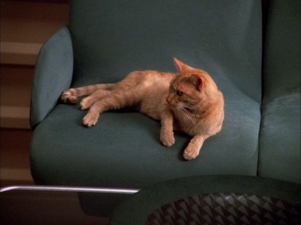 Star Trek: The Next Generation - Phantasms