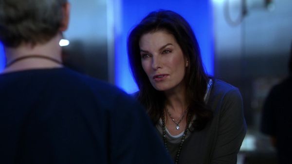 CSI: New York en español - Código sangriento (S9 Ep9)