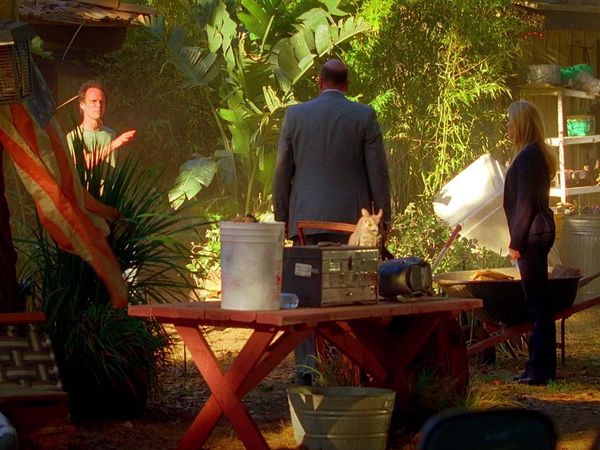 CSI: Miami en español - Disuelto