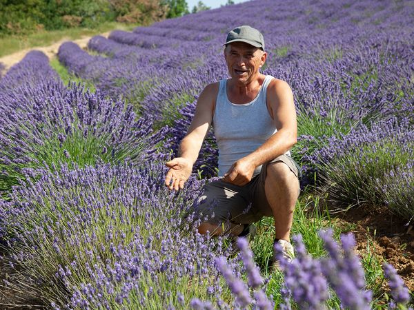 Kräuterwelten - Kräuterwelten der Provence