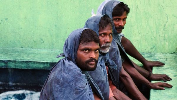 Kräuterwelten - Kräuterwelten Indiens