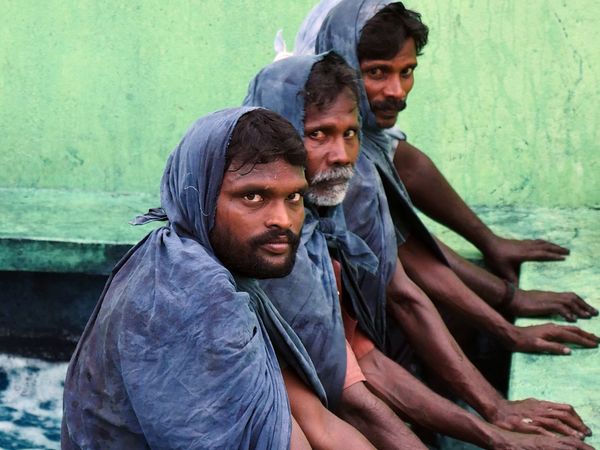 Kräuterwelten - Kräuterwelten Indiens