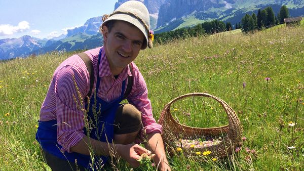Kräuterwelten - Kräuterwelten der Alpen