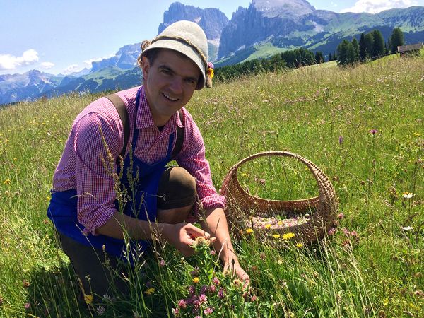 Kräuterwelten - Kräuterwelten der Alpen
