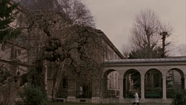 Highlander - Testimony