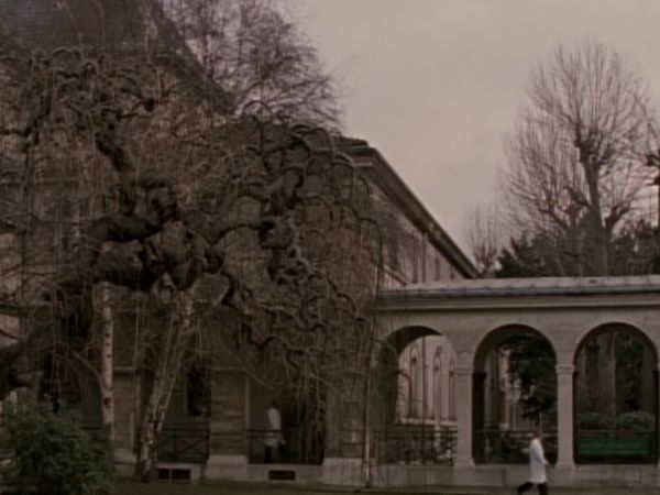 Highlander - Testimony