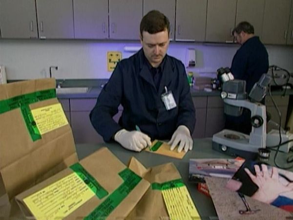 Archivos Forenses - Intrusión bienvenida