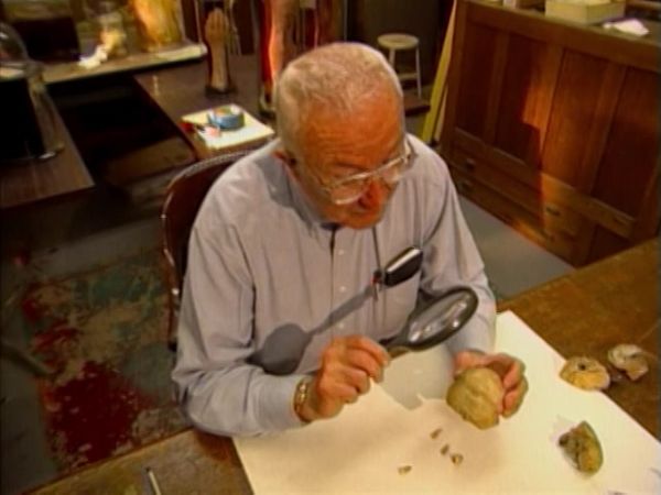 Archivos Forenses - Vidas pasadas