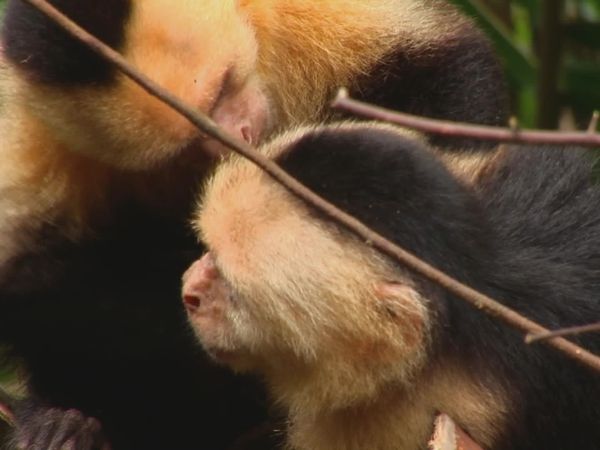 Planet HD - Costa Rica