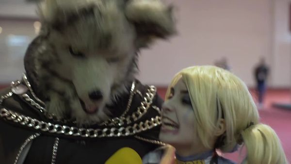 Geek - Dr. Pinofox na BGS