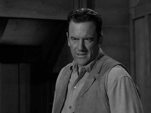 Gunsmoke - The Bounty Hunter