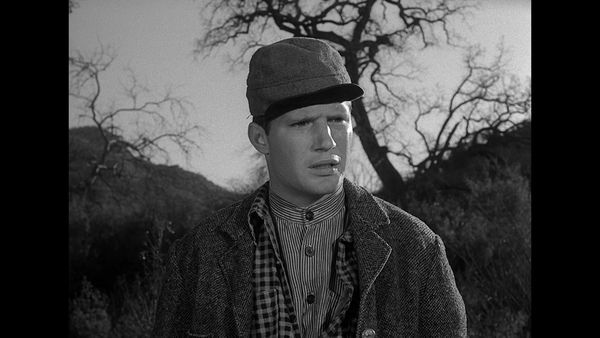 Gunsmoke - The Warden
