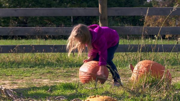 Teen Mom 2 - Congelado