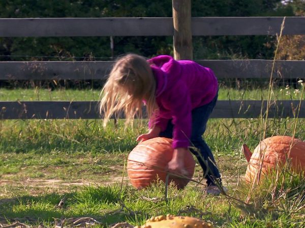Teen Mom 2 - Congelado