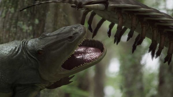 A New Prehistory - What Killed the Giant insects?