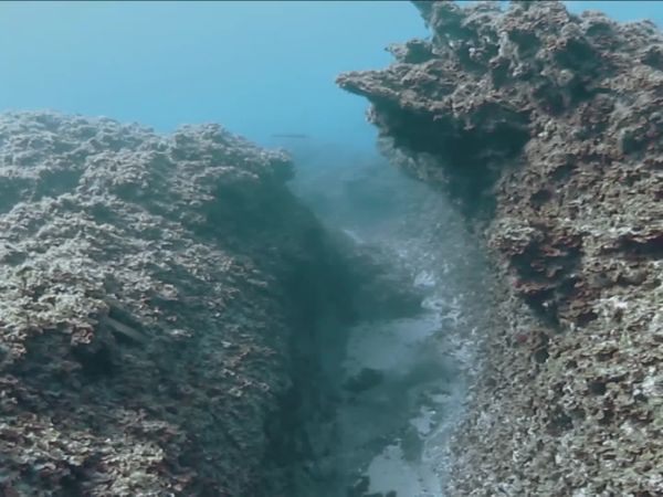 Top Dive Sites - El Hierro