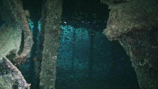 Top Dive Sites - Northern Red Sea