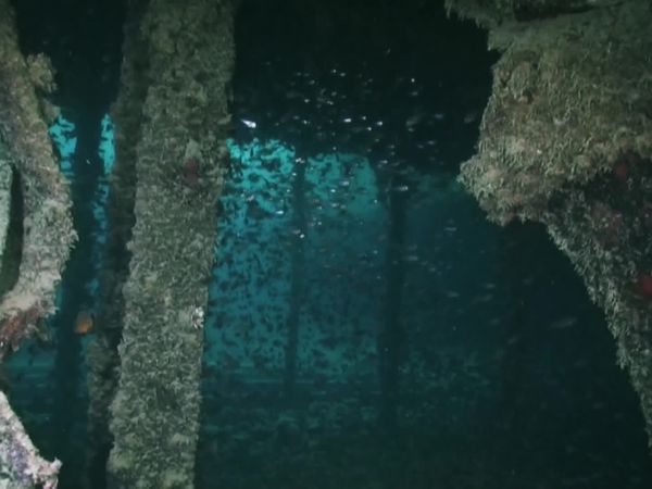 Top Dive Sites - Northern Red Sea