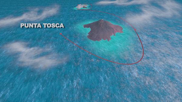Top Dive Sites - Baja - Revillagigedo