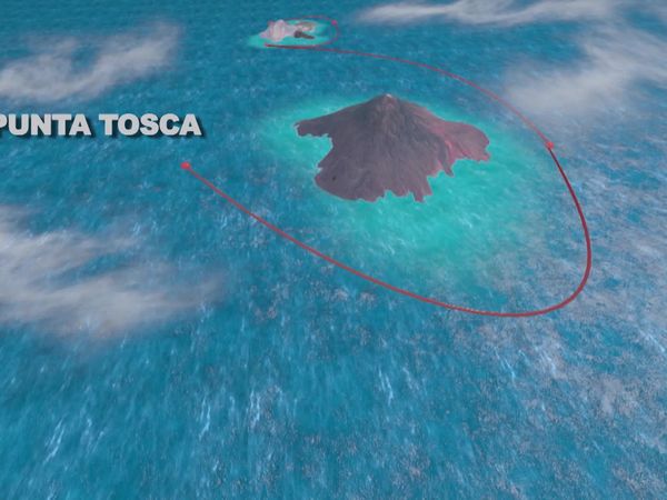 Top Dive Sites - Baja - Revillagigedo