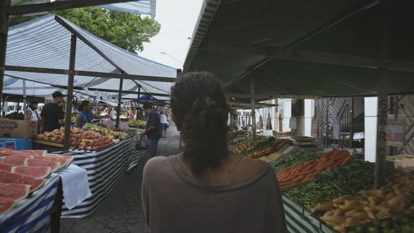 O Sistema - O Crack na Gravidez