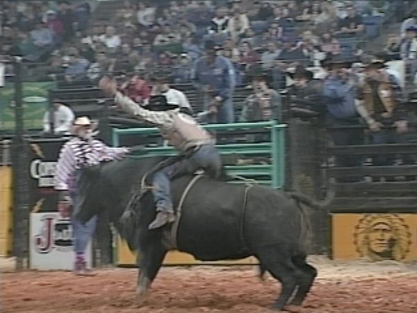 Premier Series Classic - PBR Bull Riding, Tampa, FL 1998