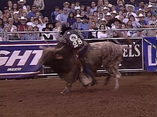 Premier Series Classic - PBR Bull Riding, Nashville, TN 1998