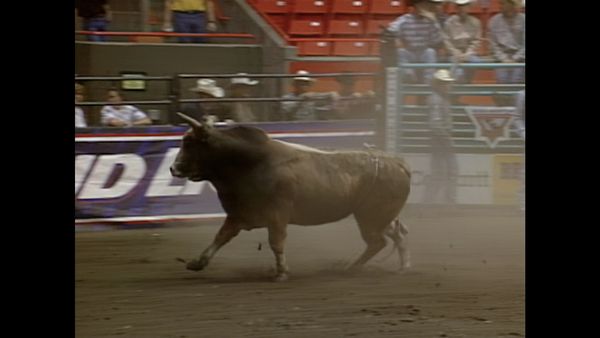 Premier Series Classic - PBR Bull Riding, Boise, ID 1998