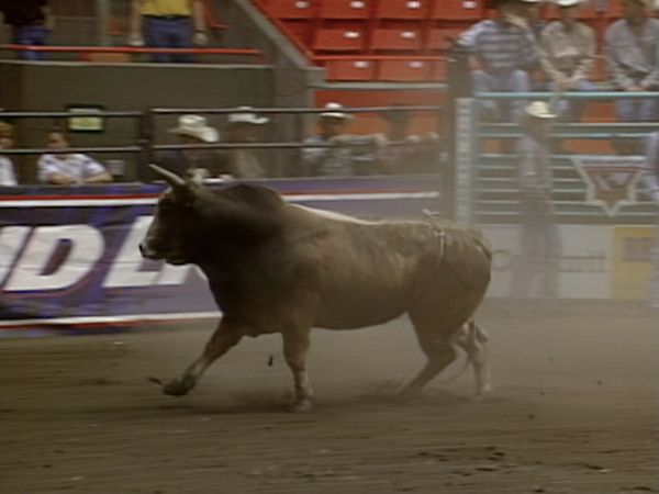 Premier Series Classic - PBR Bull Riding, Boise, ID 1998