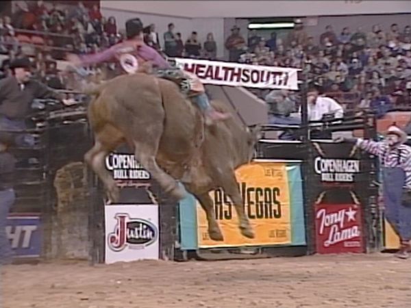 Premier Series Classic - PBR Bull Riding, Worcester, MA 1998