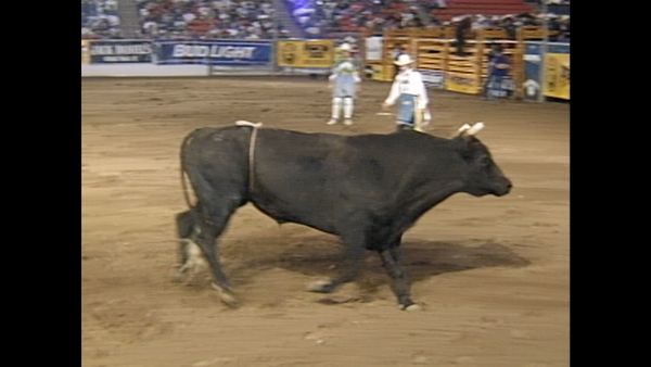 Premier Series Classic - PBR Bull Riding: Reno, NV 1996