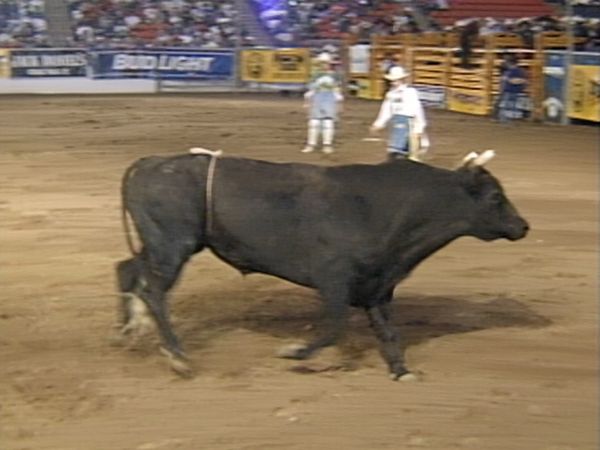 Premier Series Classic - PBR Bull Riding: Reno, NV 1996