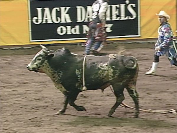 Premier Series Classic - PBR Bull Riding: Vancouver, BC 1997