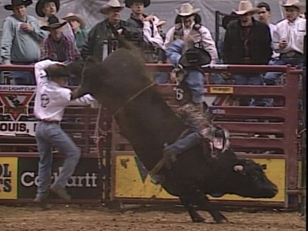 Premier Series Classic - PBR Bull Riding, St Louis, MO 2000