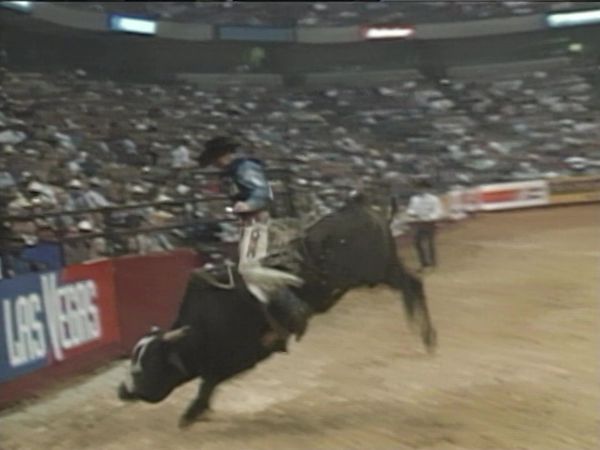 Premier Series Classic - PBR Bull Riding, Tampa, FL 2000