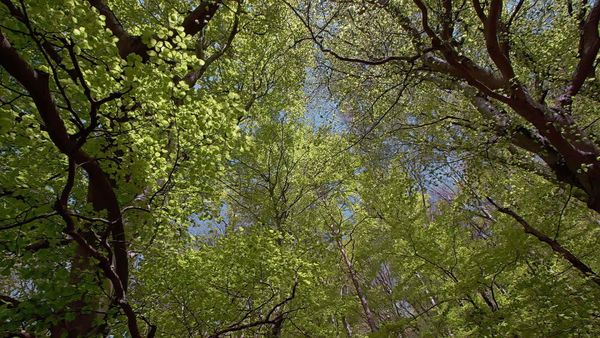 Fascinating Places - Fascinating Springtime – Season of New Beginnings / Time for Awakening