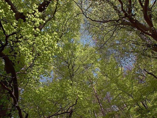 Fascinating Places - Fascinating Springtime – Season of New Beginnings / Time for Awakening